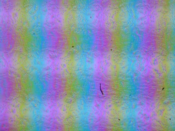 Обзор игрового ноутбука Gigabyte Aorus 16X (2024) ASG с Intel Core i9-14900HX и Nvidia GeForce RTX 4070 Laptop