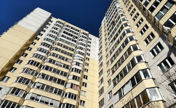 Судьба человейника: Что ждет высотные ульи в дальнейшем Судьба человейника: Что ждет высотные ульи в дальнейшем