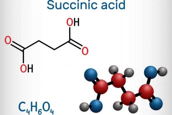 Янтарная кислота для полива цветов: как правильно развести и использовать Янтарная кислота для полива цветов: как правильно развести и использовать