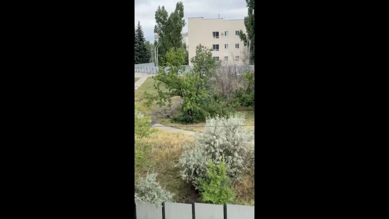 «Расстреливайте!»: почему защитницы парка в Саратове не испугались угроз полиции