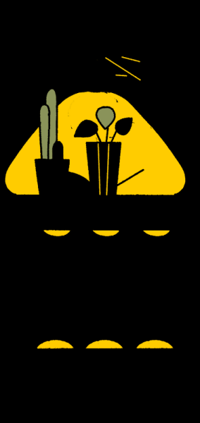 «Сталинка, я выбираю тебя!». Почему люди хотят жить в домах 30–50-х годов постройки