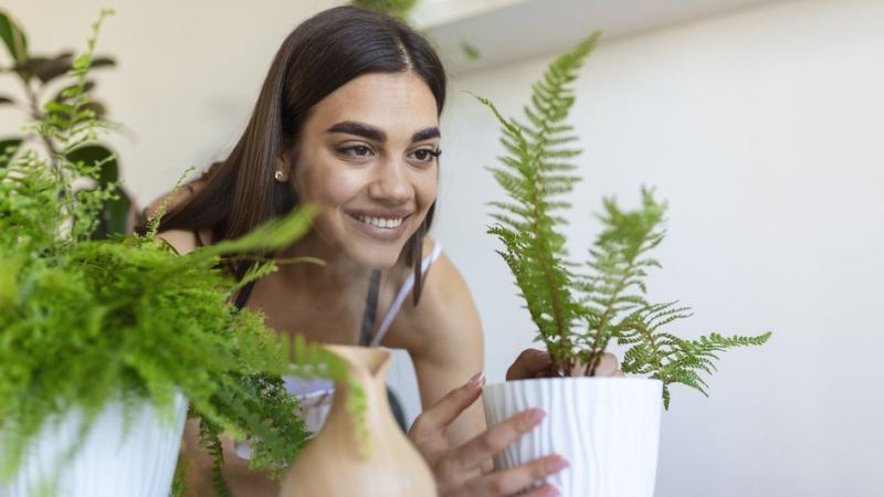 Девушка ухаживает за комнатными растениями, которые приносят ей радость