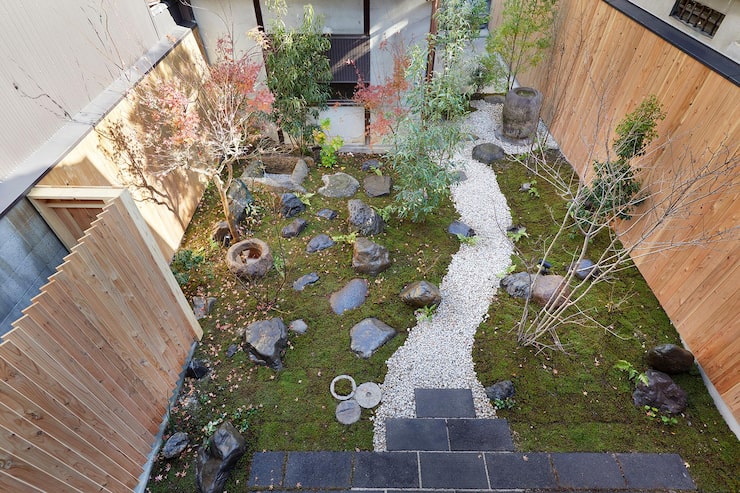 Выбор растений для создания гармоничного ландшафта