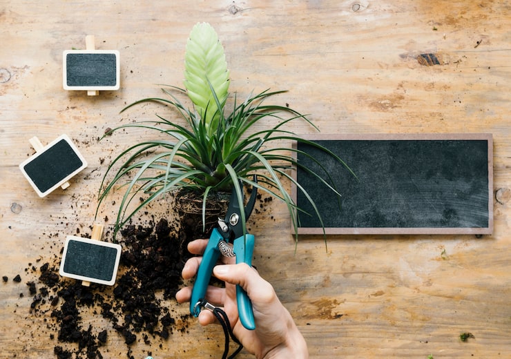 Ландшафтный дизайн участка своими руками: идеи и планировка