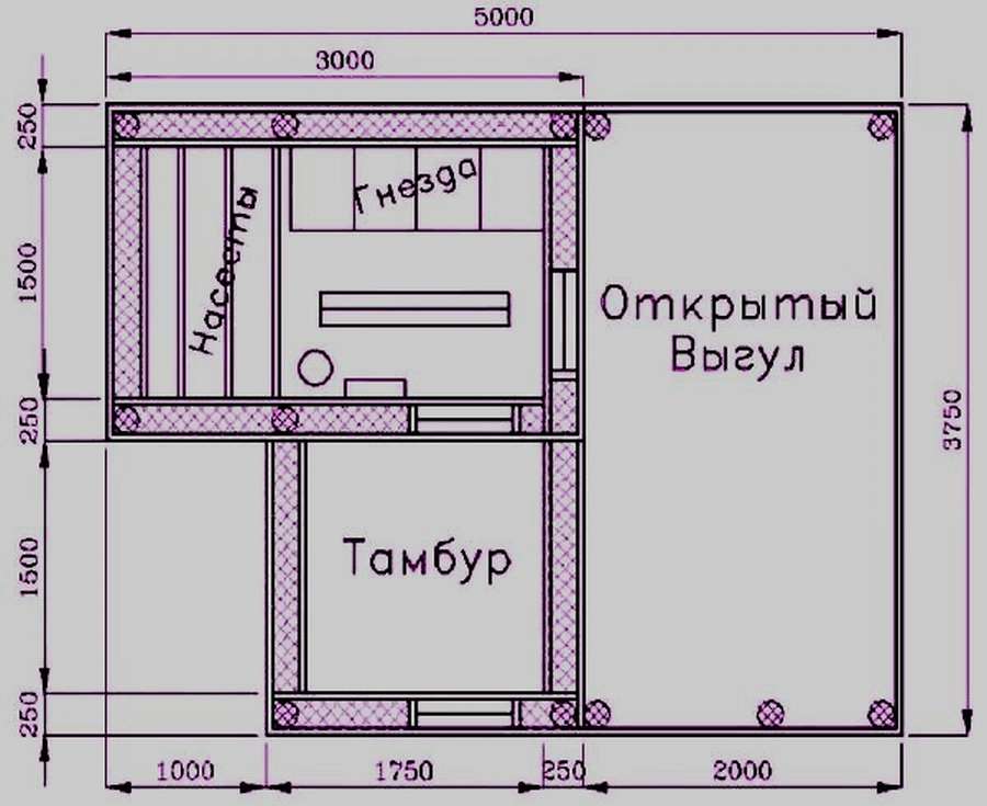 11 чертежей и схем курятников