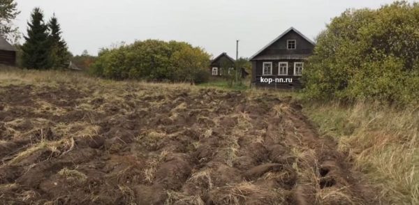 Коп монет в огороде